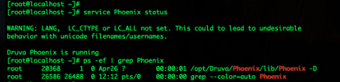 PhoenixStatusOnLinux.png