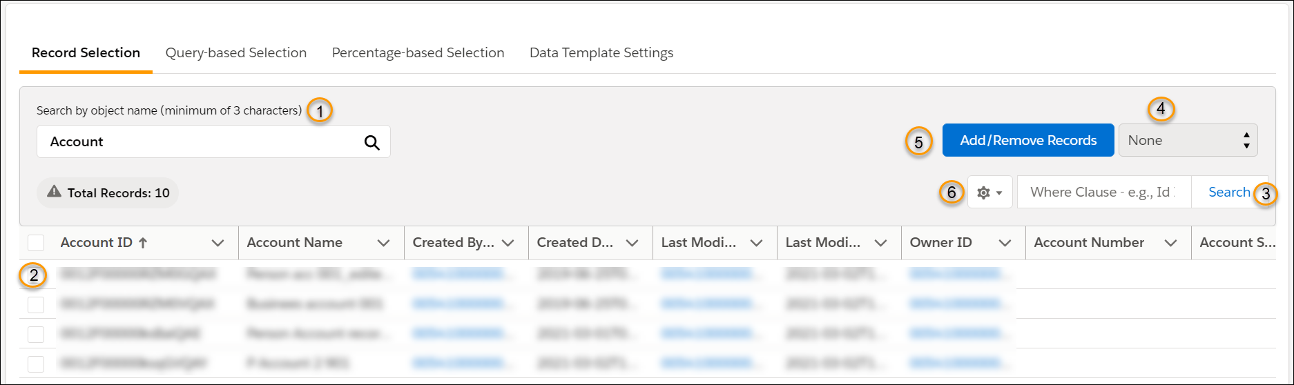Salesforce_App_Data_Template_Record Selection.png