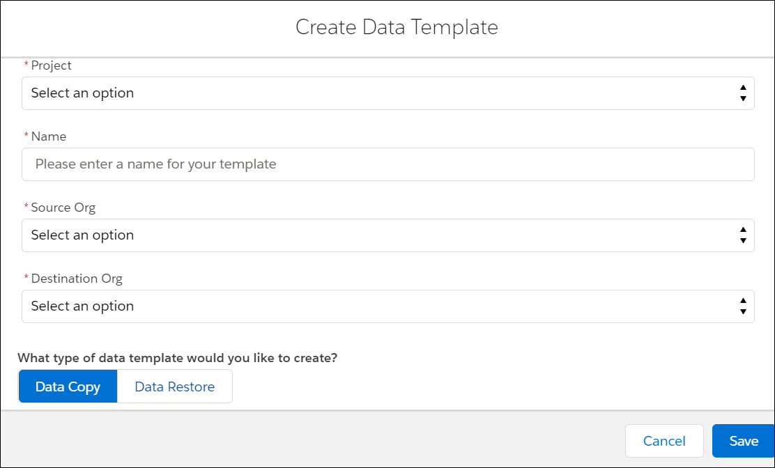 Salesforce_App_Create_a_Data_Template.png