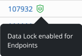 data lock enabled icon.png